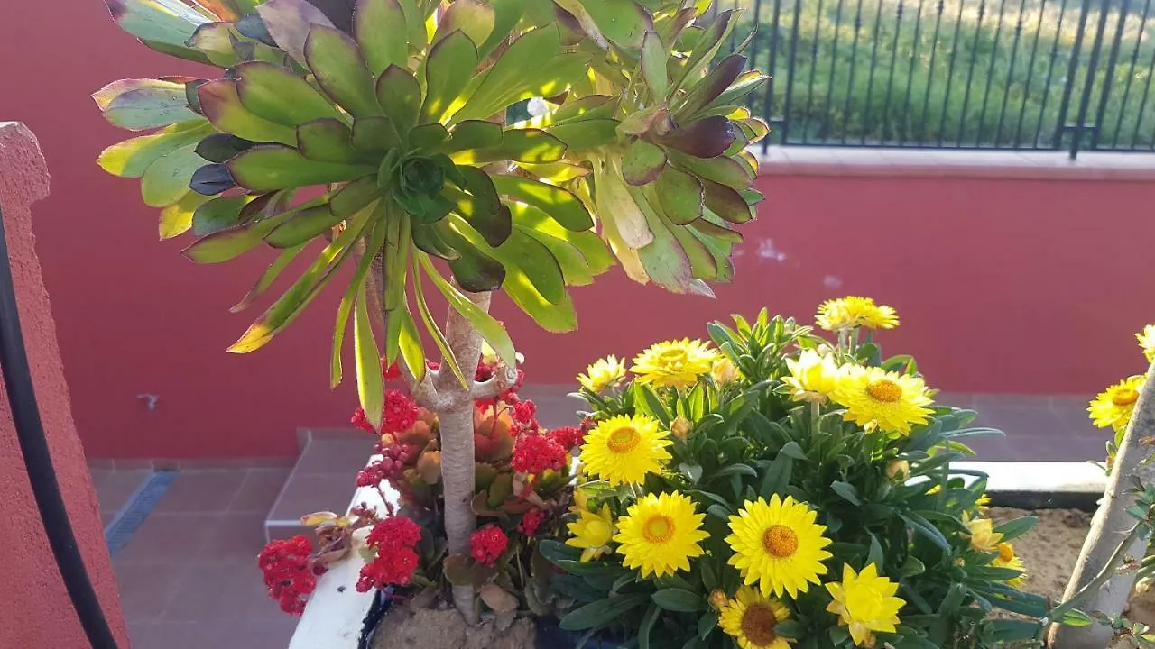 Bed & Breakfast Lilium In B&B Gela